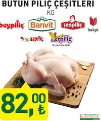 BÜTÜN PİLİÇ ÇEŞİTLERİ BÜTÜN PİLİÇ ÇEŞİTLERİ